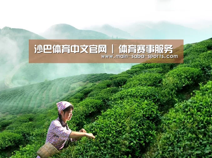 沙巴体育中文官网 | 体育赛事服务