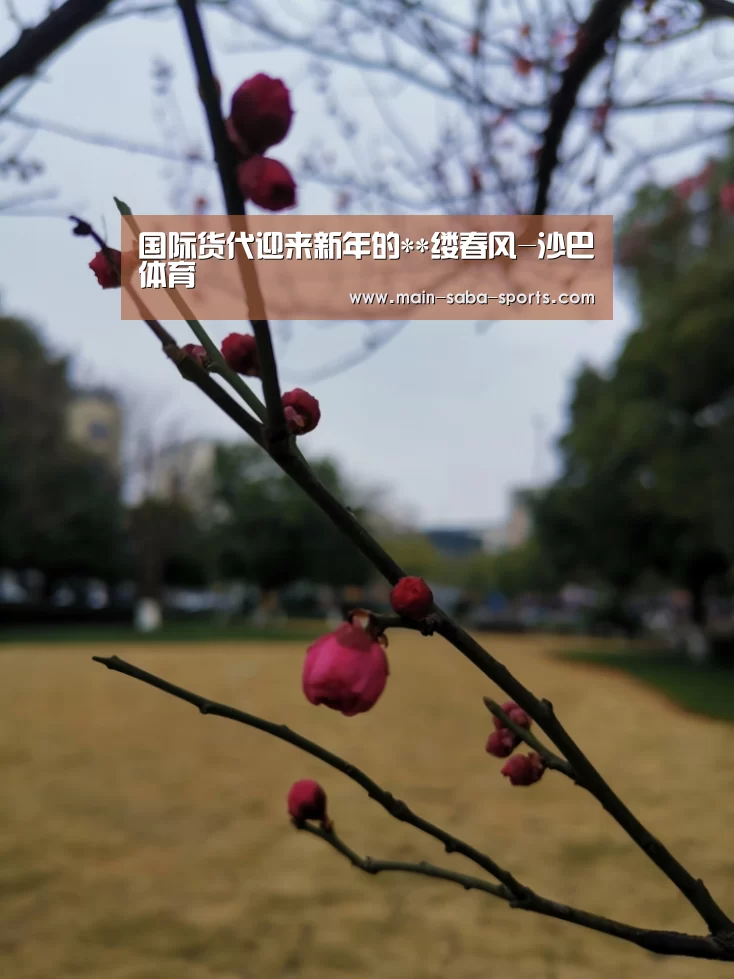 沙巴体育