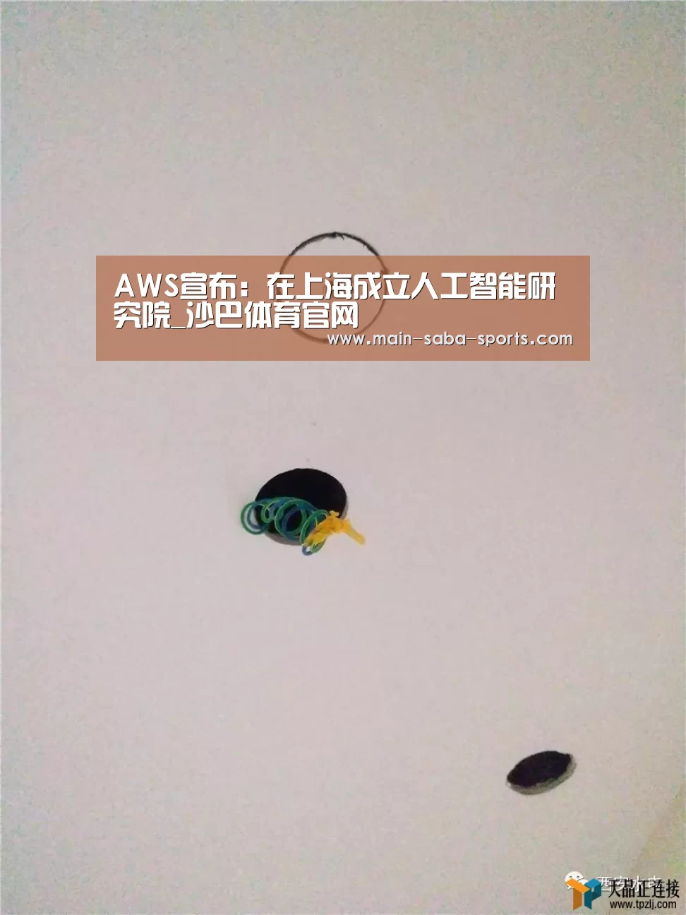 AWS宣布:在上海成立人工智能研究院_沙巴体育官网(图1) 沙巴体育官网