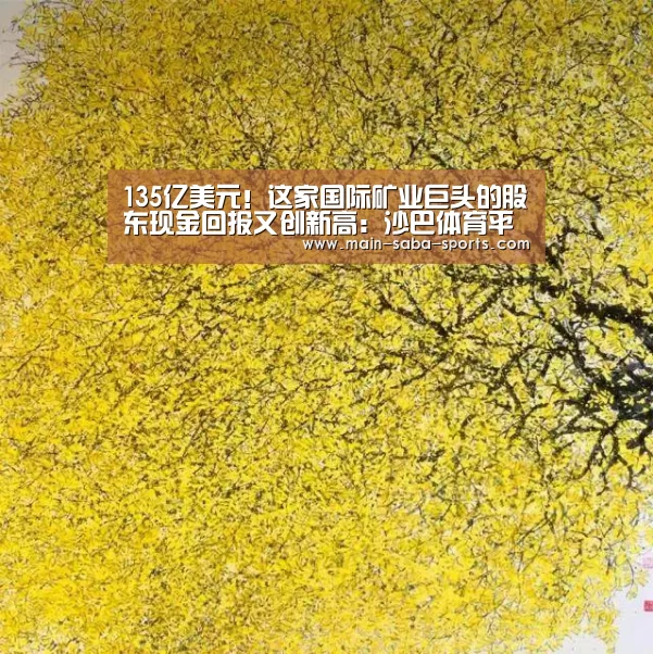 135亿美元!这家国际矿业巨头的股东现金回报又创新高:沙巴体育平台(图1) 沙巴体育平台