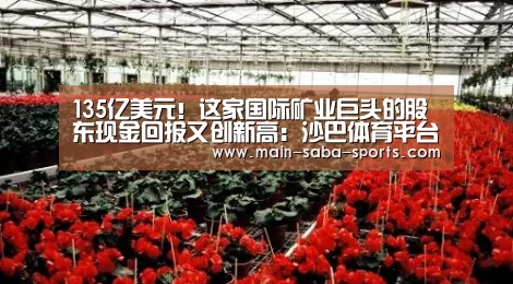 135亿美元!这家国际矿业巨头的股东现金回报又创新高:沙巴体育平台(图2) 沙巴体育