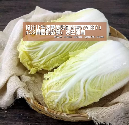 设计让生活更美好你所看不到的YunOS背后的故事:沙巴体育(图4) 沙巴体育官网