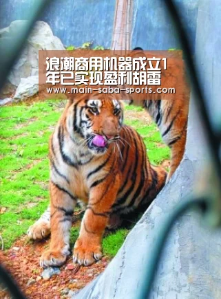 浪潮商用机器成立1年已实现盈利胡雷钧:得算力者可得AI【沙巴体育平台】(图2) 沙巴体育平台