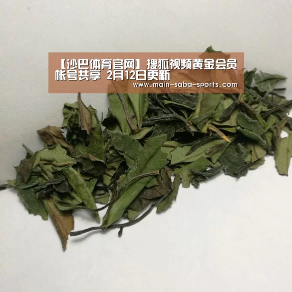 【沙巴体育官网】搜狐视频黄金会员帐号共享 2月12日更新(图1) 沙巴体育
