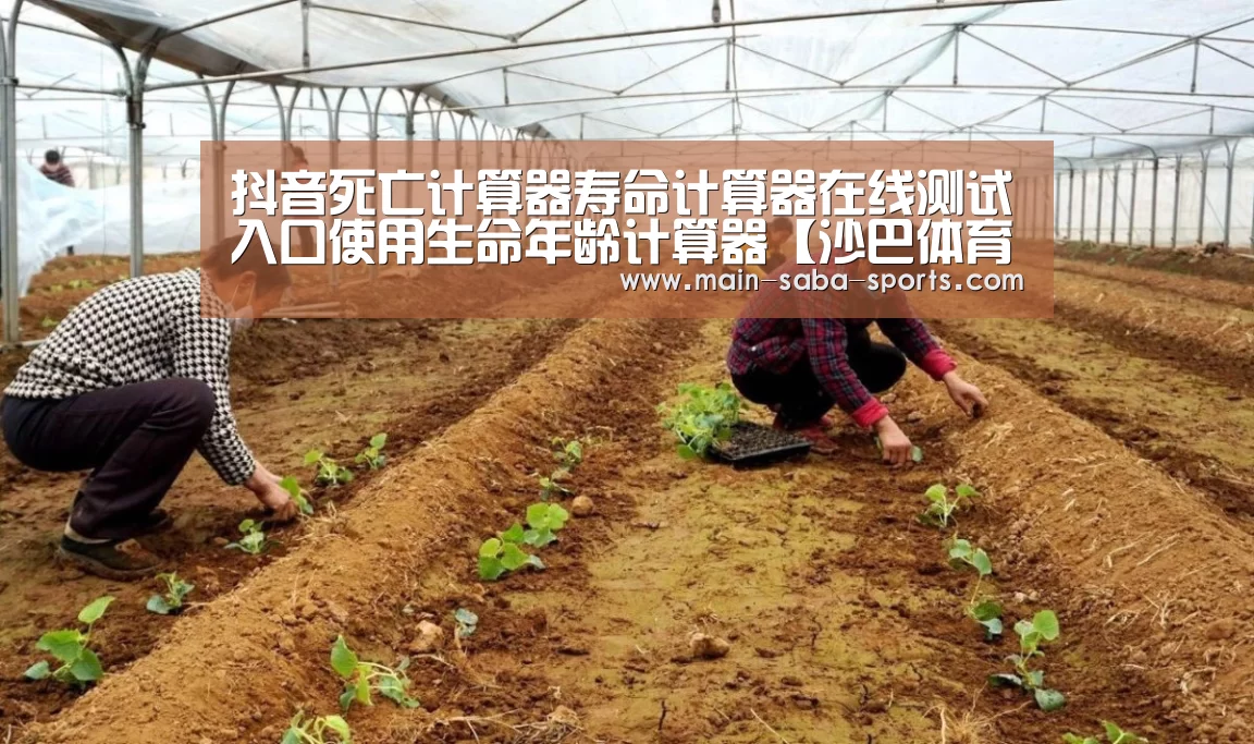 沙巴体育