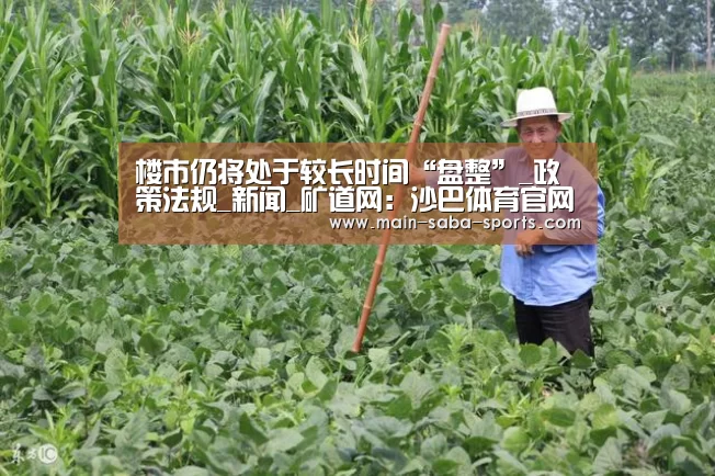 楼市仍将处于较长时间“盘整”_政策法规_新闻_矿道网:沙巴体育官网(图2) 沙巴体育官网