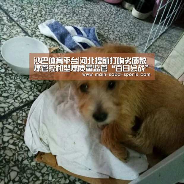 沙巴体育官网