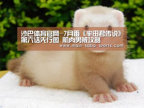沙巴体育官网-7月番《半田君传说》第六话先行图 肌肉男被攻略