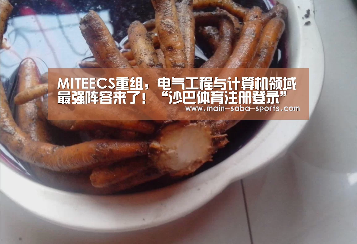 沙巴体育