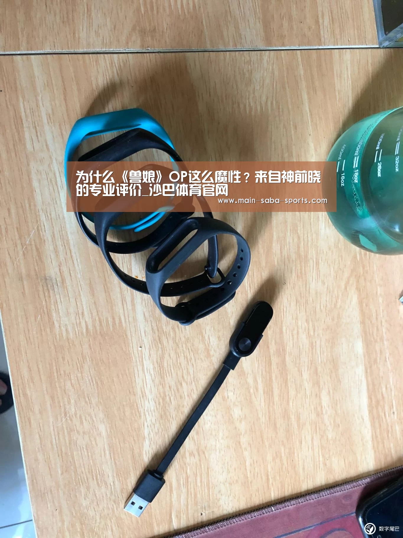 为什么《兽娘》OP这么魔性?来自神前晓的专业评价_沙巴体育官网(图4) 沙巴体育